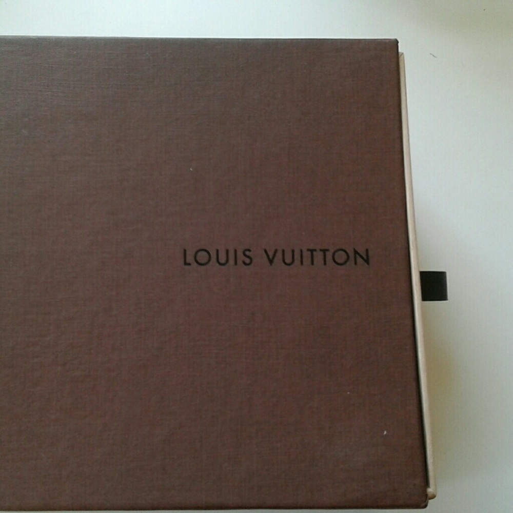 Louis Vuitton case & bag